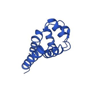 22656_7k3r_S_v1-1
Cryo-EM structure of AIM2-PYD filament