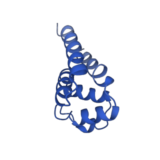 22656_7k3r_T_v1-1
Cryo-EM structure of AIM2-PYD filament