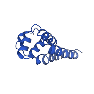 22656_7k3r_U_v1-1
Cryo-EM structure of AIM2-PYD filament