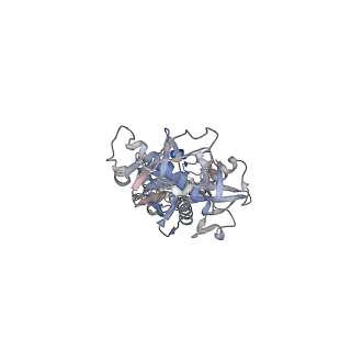 36843_8k34_A_v1-1
Cryo-EM structure of SPARTA gRNA binary complex