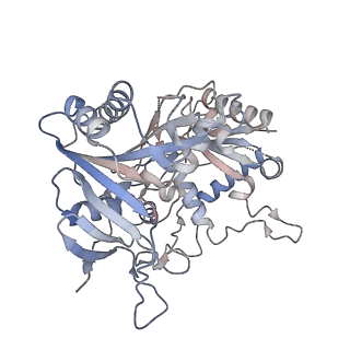 36843_8k34_B_v1-1
Cryo-EM structure of SPARTA gRNA binary complex