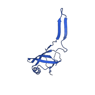 36844_8k35_C_v1-1
Structure of the bacteriophage lambda tail tip complex