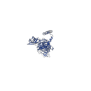 36844_8k35_I_v1-1
Structure of the bacteriophage lambda tail tip complex