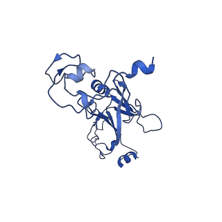 36844_8k35_J_v1-1
Structure of the bacteriophage lambda tail tip complex