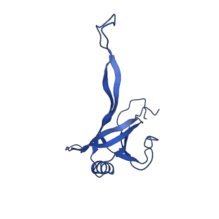 36845_8k36_B_v1-1
Structure of the bacteriophage lambda tail tube