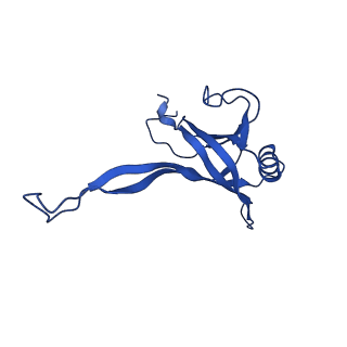 36845_8k36_J_v1-1
Structure of the bacteriophage lambda tail tube