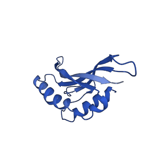 36846_8k37_B_v1-1
Structure of the bacteriophage lambda neck