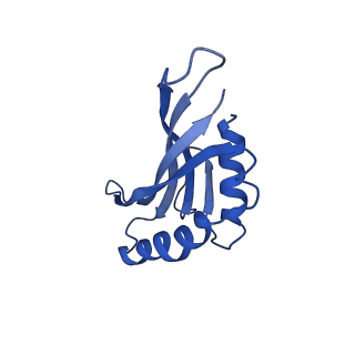 36846_8k37_C_v1-1
Structure of the bacteriophage lambda neck