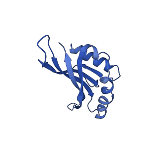 36846_8k37_D_v1-1
Structure of the bacteriophage lambda neck