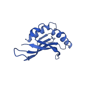 36846_8k37_E_v1-1
Structure of the bacteriophage lambda neck