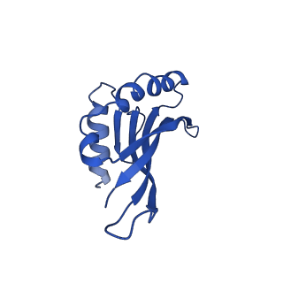 36846_8k37_F_v1-1
Structure of the bacteriophage lambda neck