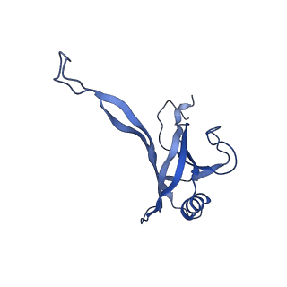 36846_8k37_I_v1-1
Structure of the bacteriophage lambda neck
