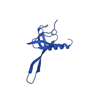 36846_8k37_N_v1-1
Structure of the bacteriophage lambda neck