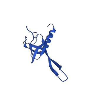 36846_8k37_O_v1-1
Structure of the bacteriophage lambda neck