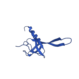 36846_8k37_P_v1-1
Structure of the bacteriophage lambda neck