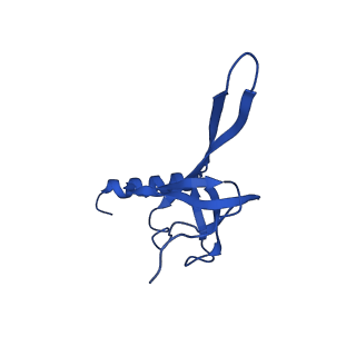 36846_8k37_Q_v1-1
Structure of the bacteriophage lambda neck