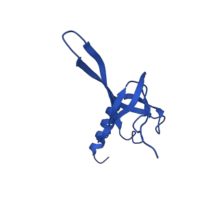 36846_8k37_R_v1-1
Structure of the bacteriophage lambda neck