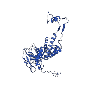 36847_8k38_A_v1-1
The structure of bacteriophage lambda portal-adaptor