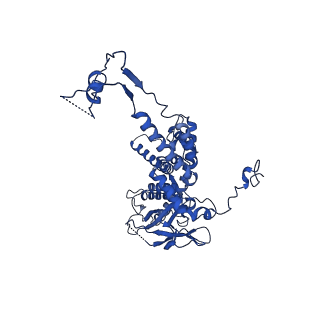 36847_8k38_C_v1-1
The structure of bacteriophage lambda portal-adaptor
