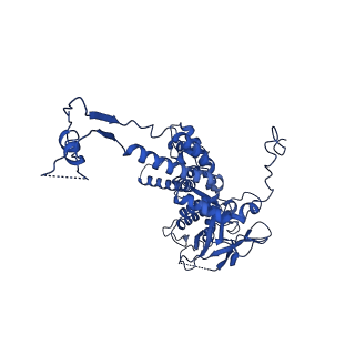 36847_8k38_D_v1-1
The structure of bacteriophage lambda portal-adaptor