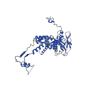 36847_8k38_F_v1-1
The structure of bacteriophage lambda portal-adaptor