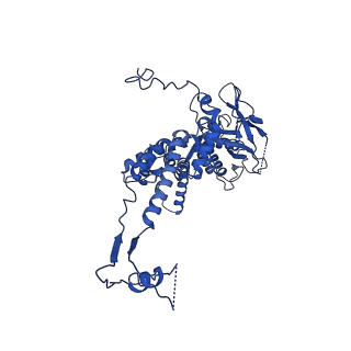 36847_8k38_G_v1-1
The structure of bacteriophage lambda portal-adaptor