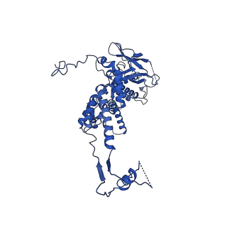 36847_8k38_H_v1-1
The structure of bacteriophage lambda portal-adaptor