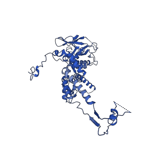 36847_8k38_I_v1-1
The structure of bacteriophage lambda portal-adaptor