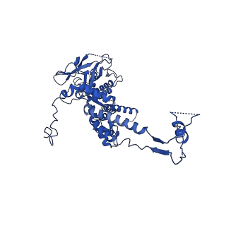 36847_8k38_J_v1-1
The structure of bacteriophage lambda portal-adaptor