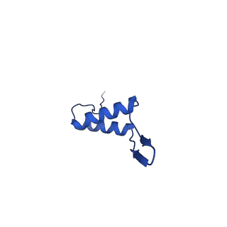 36847_8k38_N_v1-1
The structure of bacteriophage lambda portal-adaptor