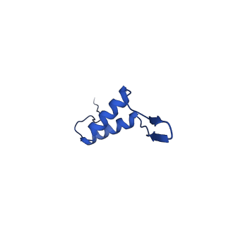 36847_8k38_O_v1-1
The structure of bacteriophage lambda portal-adaptor