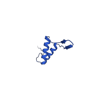 36847_8k38_P_v1-1
The structure of bacteriophage lambda portal-adaptor