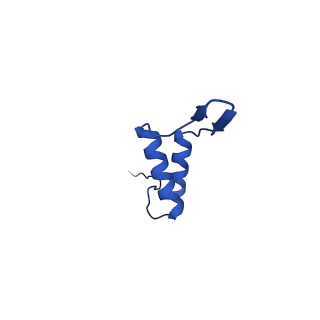 36847_8k38_Q_v1-1
The structure of bacteriophage lambda portal-adaptor
