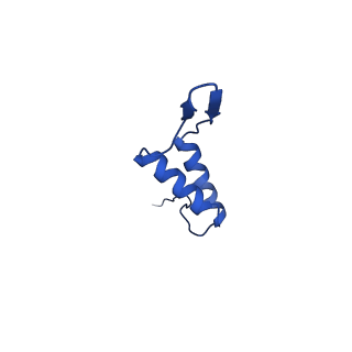 36847_8k38_R_v1-1
The structure of bacteriophage lambda portal-adaptor
