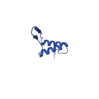 36847_8k38_T_v1-1
The structure of bacteriophage lambda portal-adaptor