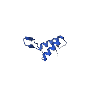 36847_8k38_U_v1-1
The structure of bacteriophage lambda portal-adaptor