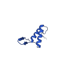36847_8k38_V_v1-1
The structure of bacteriophage lambda portal-adaptor