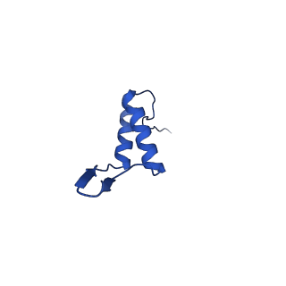 36847_8k38_W_v1-1
The structure of bacteriophage lambda portal-adaptor