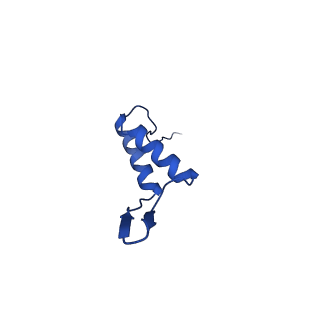 36847_8k38_X_v1-1
The structure of bacteriophage lambda portal-adaptor