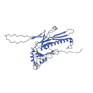 36848_8k39_0_v1-1
Structure of the bacteriophage lambda portal vertex