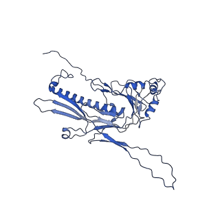 36848_8k39_1_v1-1
Structure of the bacteriophage lambda portal vertex