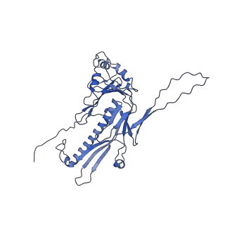 36848_8k39_2_v1-1
Structure of the bacteriophage lambda portal vertex