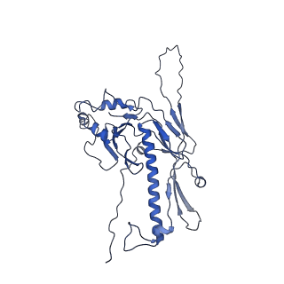 36848_8k39_3_v1-1
Structure of the bacteriophage lambda portal vertex