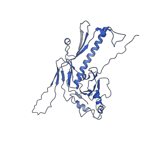 36848_8k39_4_v1-1
Structure of the bacteriophage lambda portal vertex