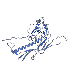 36848_8k39_5_v1-1
Structure of the bacteriophage lambda portal vertex