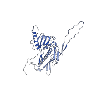 36848_8k39_6_v1-1
Structure of the bacteriophage lambda portal vertex