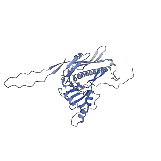 36848_8k39_7_v1-1
Structure of the bacteriophage lambda portal vertex