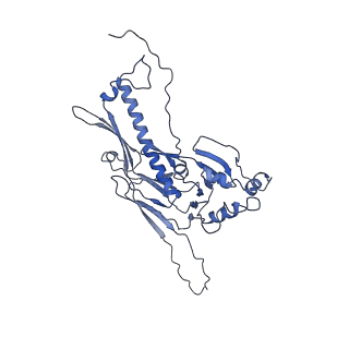 36848_8k39_A_v1-1
Structure of the bacteriophage lambda portal vertex