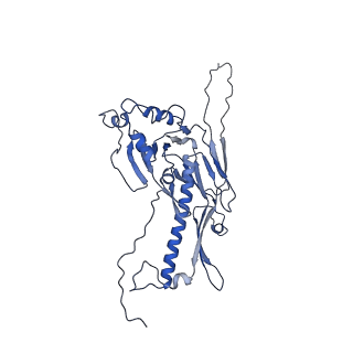 36848_8k39_B_v1-1
Structure of the bacteriophage lambda portal vertex