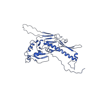 36848_8k39_C_v1-1
Structure of the bacteriophage lambda portal vertex